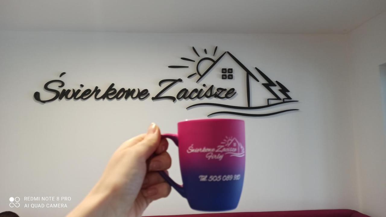 Swierkowe Zacisze Hotel フィルレイ エクステリア 写真